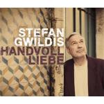 23-11-2015 - MCS_Marketing - Stefan Gwildis - cover.jpg